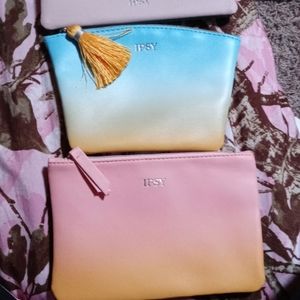 Ipsy small handbags